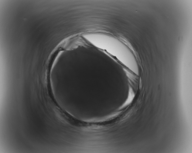 X0000086260387200704262000