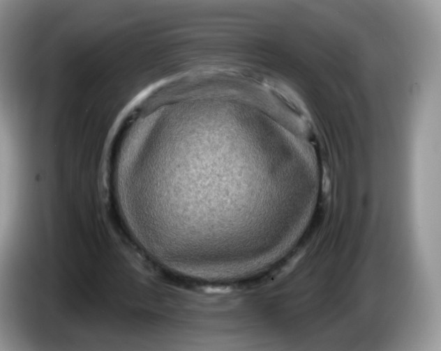 X0000086260388200704262000