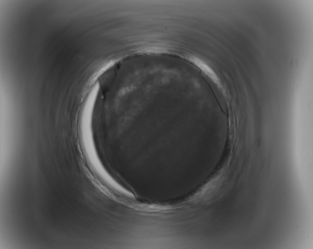 X0000086260389200704262000