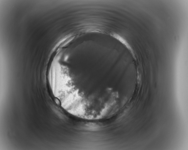 X0000086260390200704262000