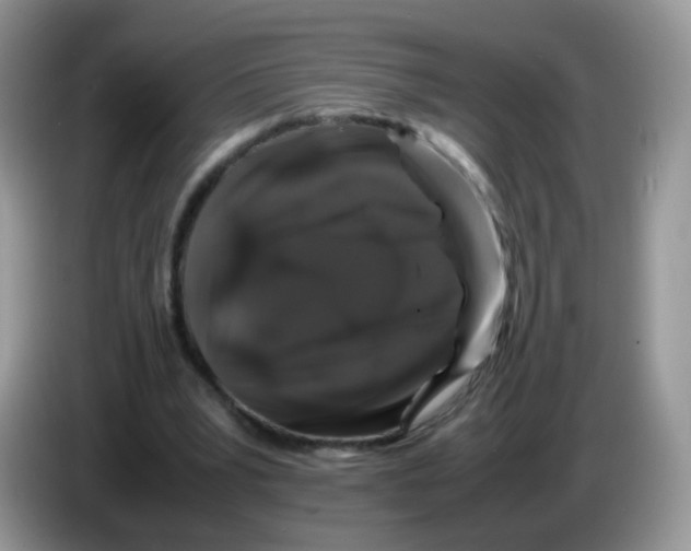 X0000086260391200704262000