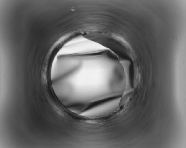 X0000086260392200704262000