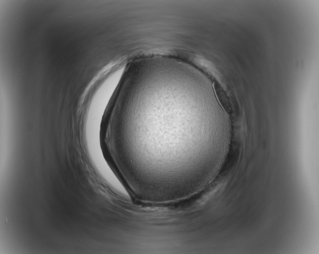 X0000086260395200704262000