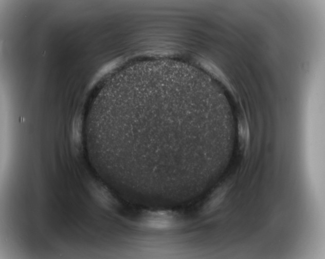 X0000086260396200704262000