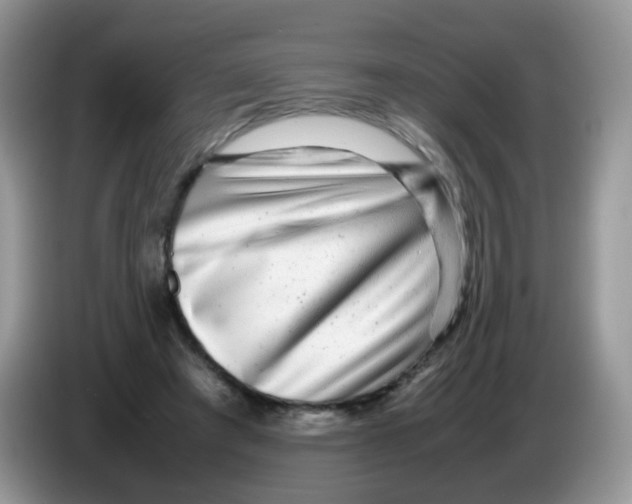 X0000086260401200704262000