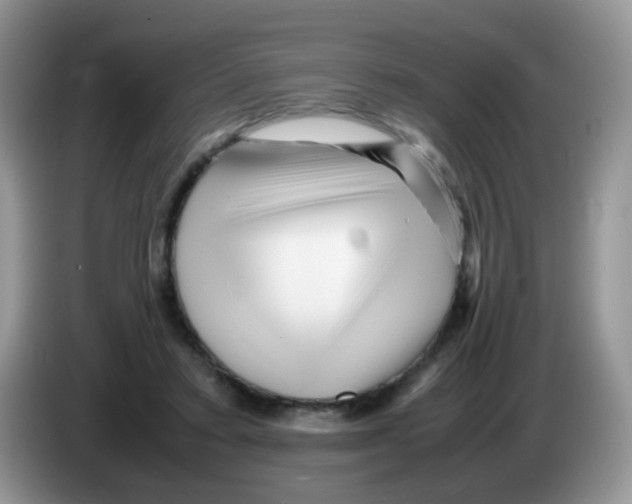 X0000086260403200704262000