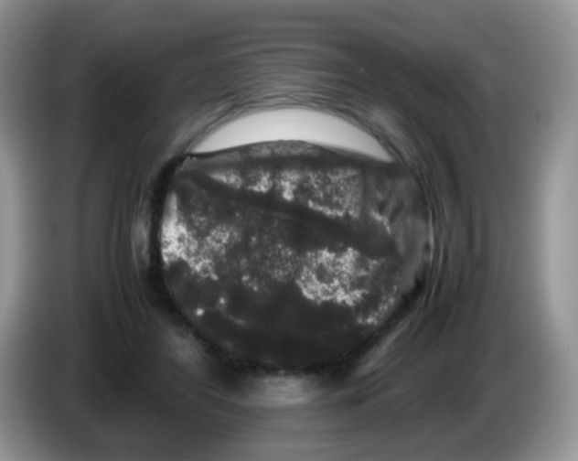 X0000086260404200704262000