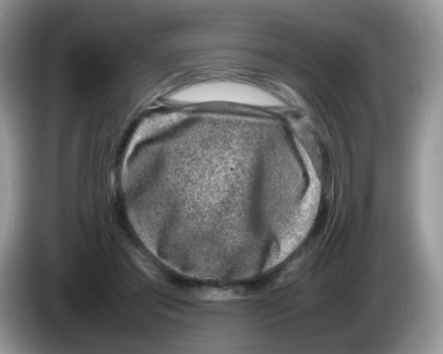 X0000086260405200704262000