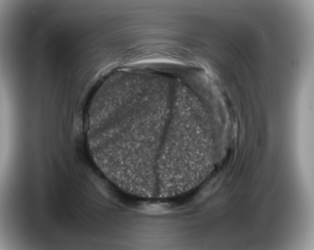 X0000086260407200704262000