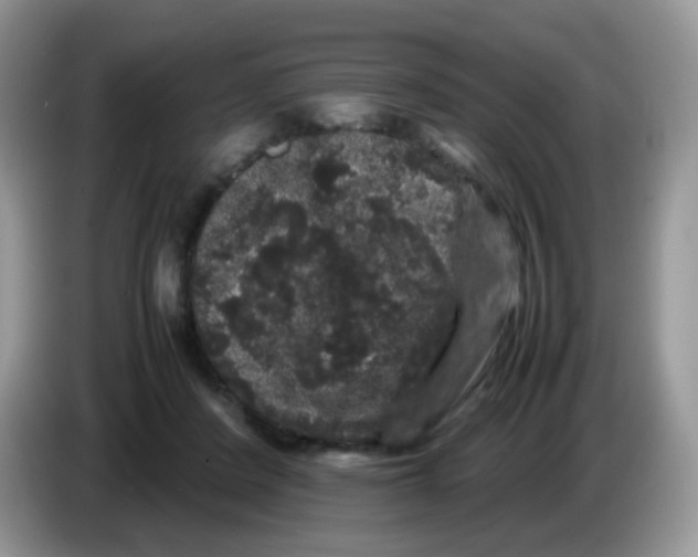 X0000086260408200704262000