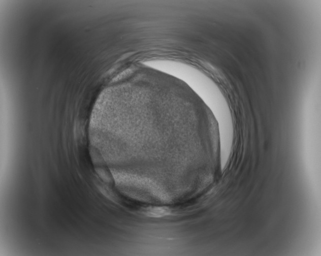 X0000086260409200704262000