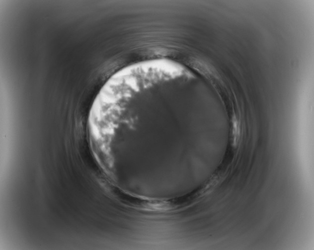 X0000086260410200704262000
