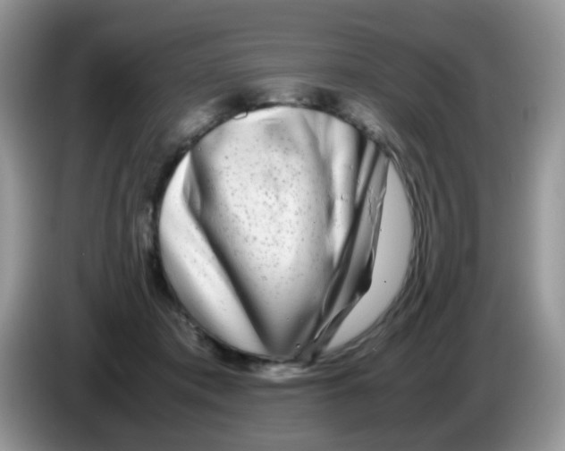X0000086260413200704262000