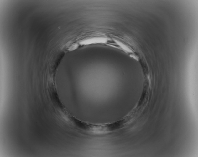 X0000086260415200704262000