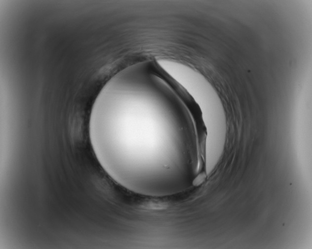X0000086260416200704262000