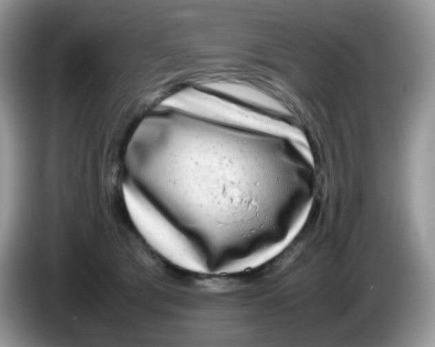 X0000086260417200704261959