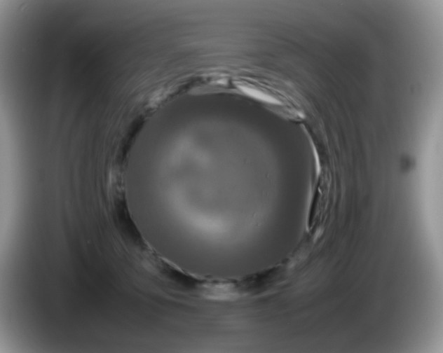 X0000086260419200704261959