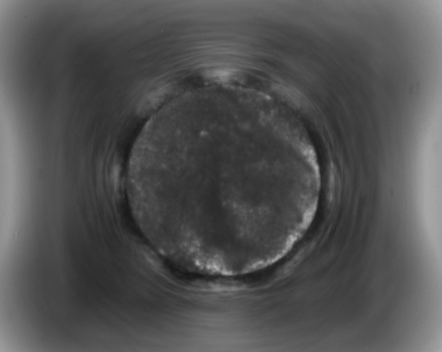 X0000086260420200704261959