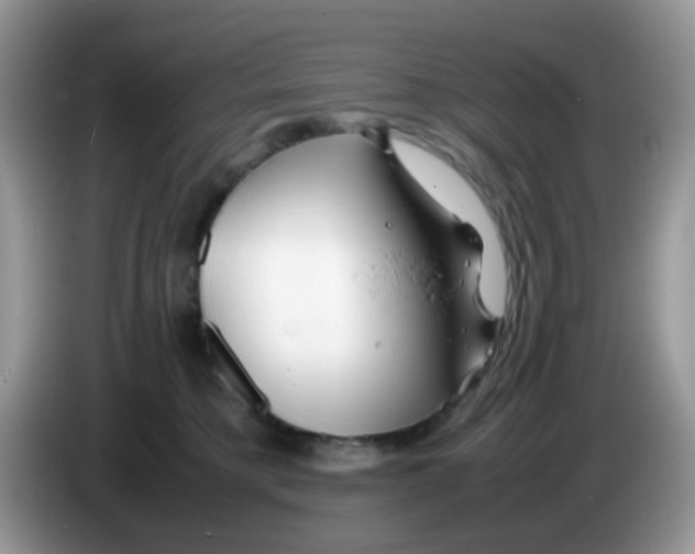 X0000086260421200704261959