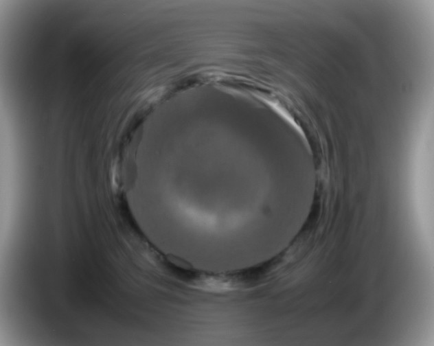 X0000086260423200704261959