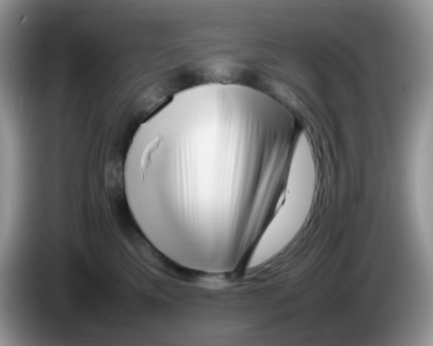 X0000086260425200704261959
