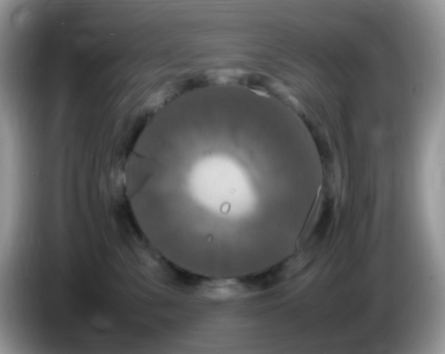 X0000086260427200704261959