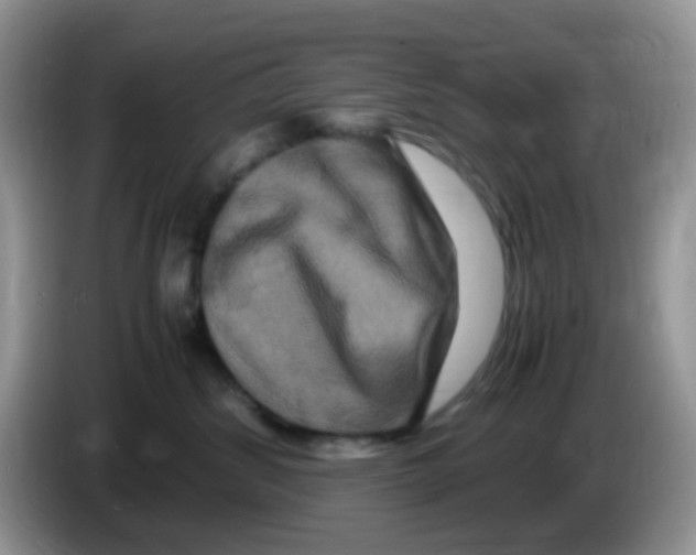 X0000086260428200704261959