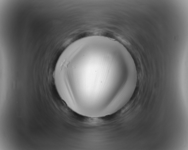 X0000086260429200704261959