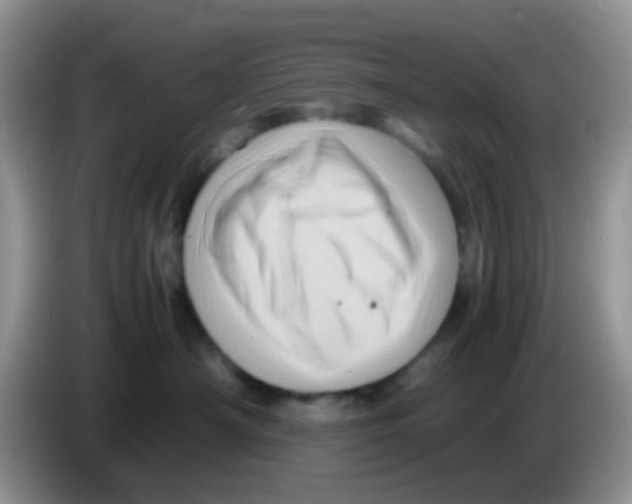 X0000086260430200704261959