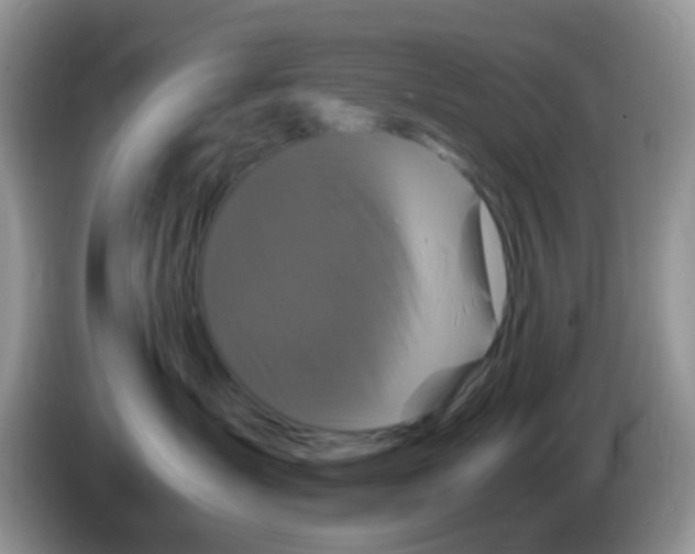 X0000086260431200704261959