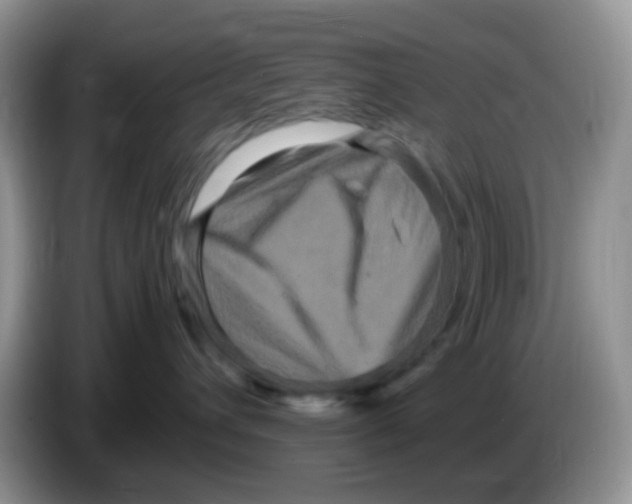 X0000086260432200704261959