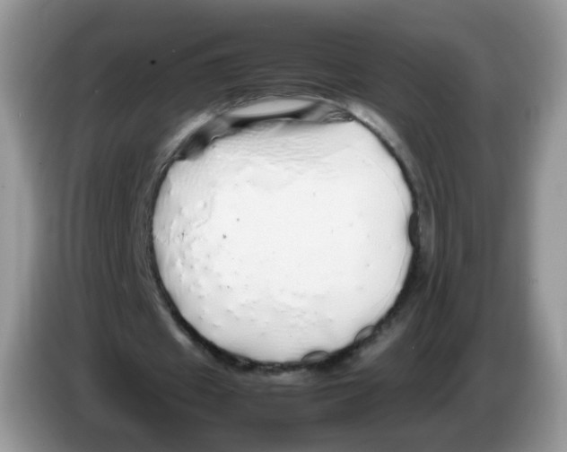 X0000086260433200704261959