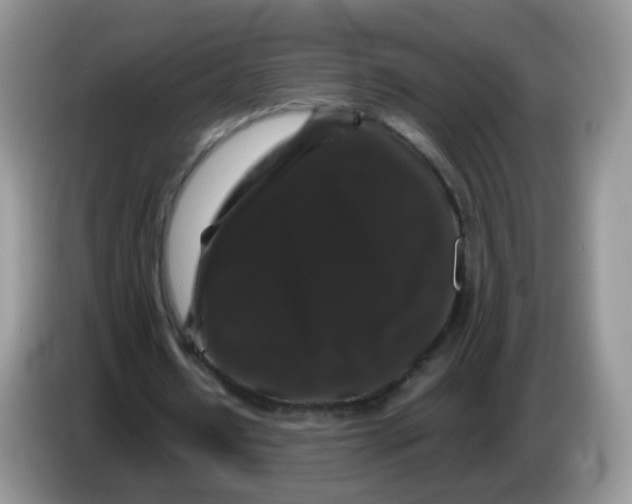 X0000086260434200704261959