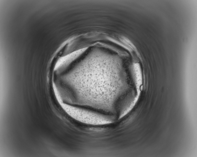 X0000086260435200704261959