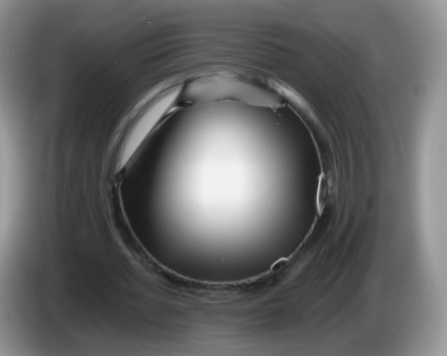 X0000086260436200704261959