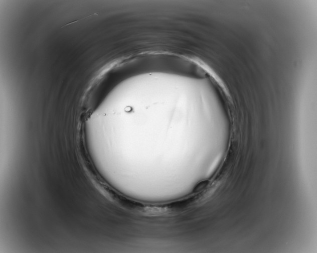 X0000086260437200704261959