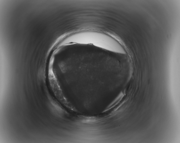 X0000086260438200704261959