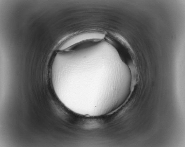 X0000086260439200704261959