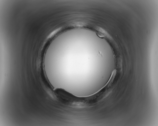 X0000086260440200704261959