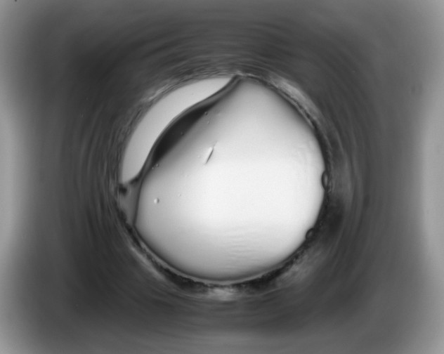 X0000086260441200704261959