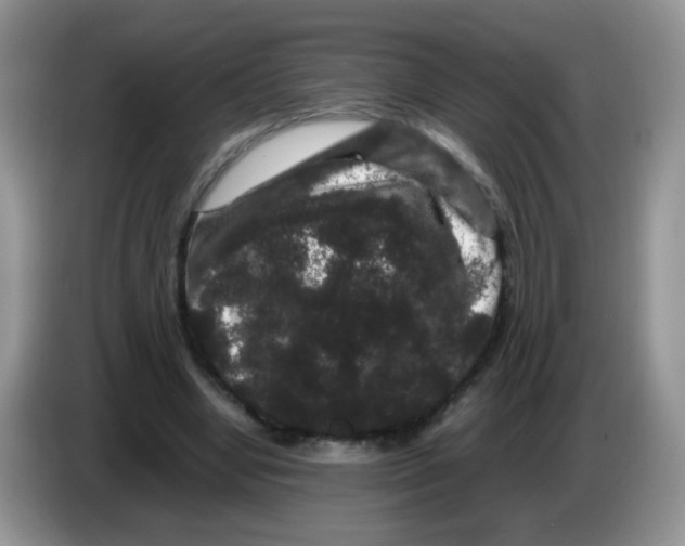 X0000086260442200704261959