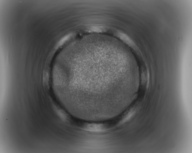 X0000086260444200704261959