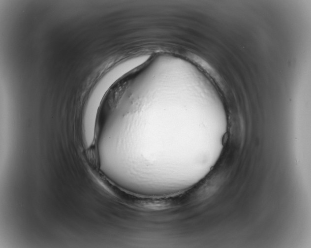 X0000086260445200704261959