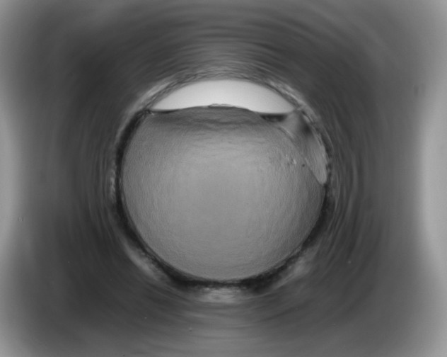 X0000086260446200704261959