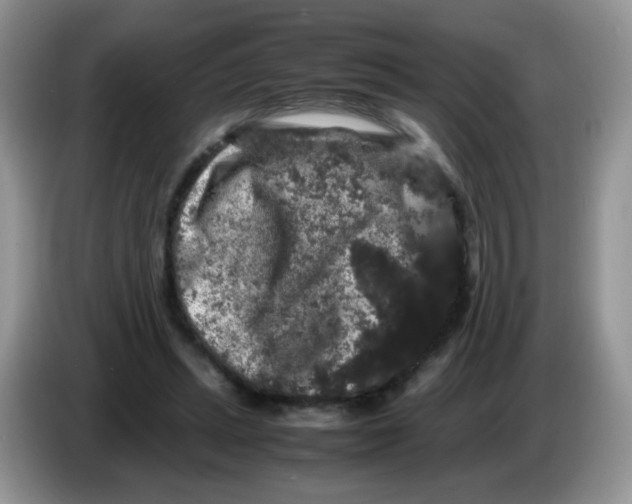 X0000086260447200704261959