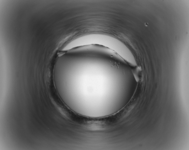 X0000086260448200704261959