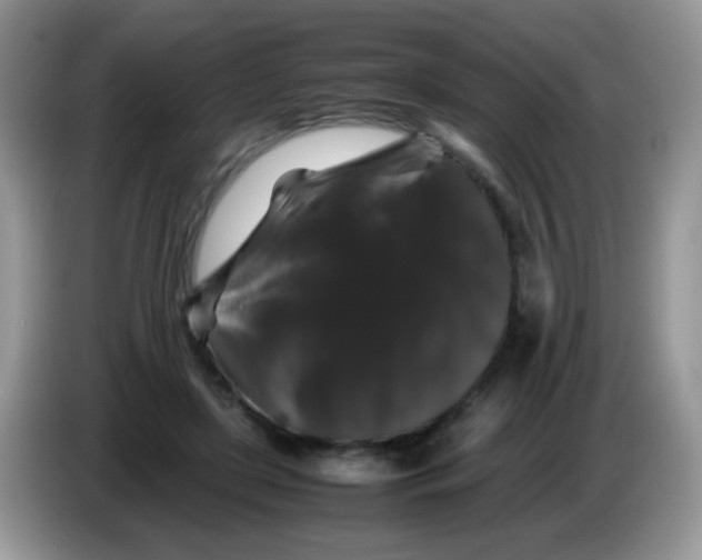 X0000086260451200704261959