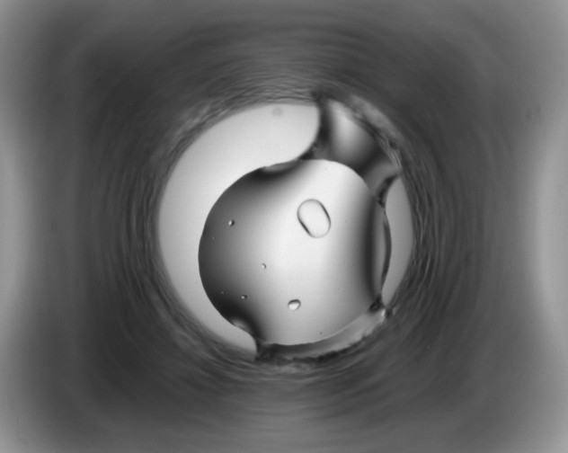 X0000086260452200704261959