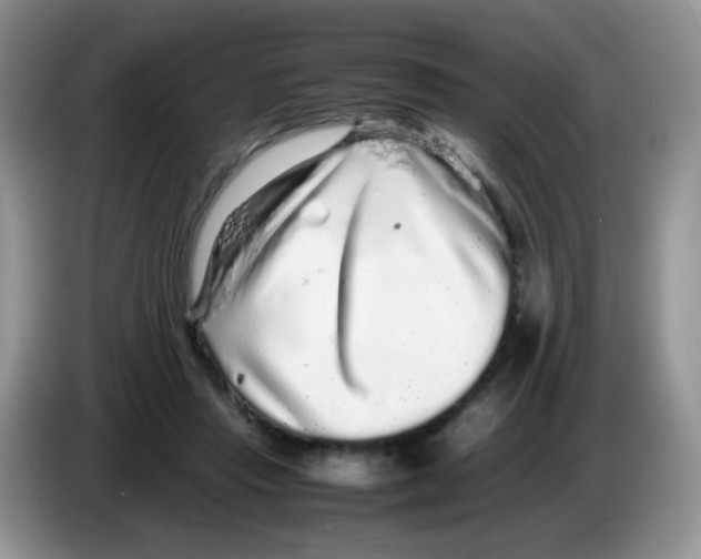 X0000086260453200704261959