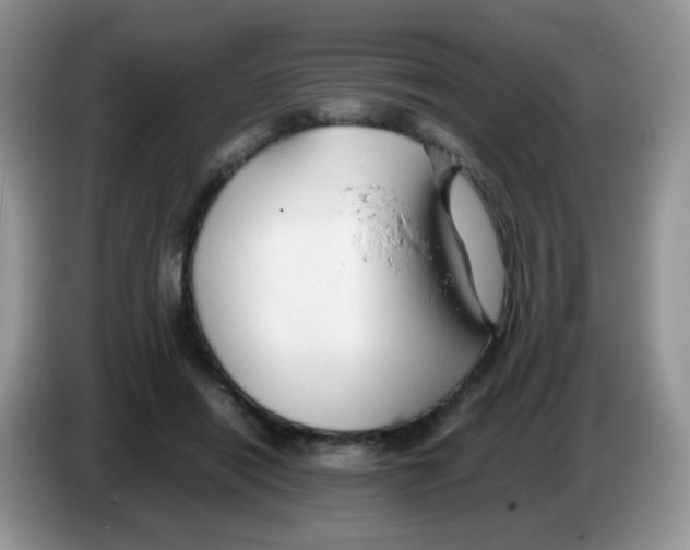 X0000086260454200704261959